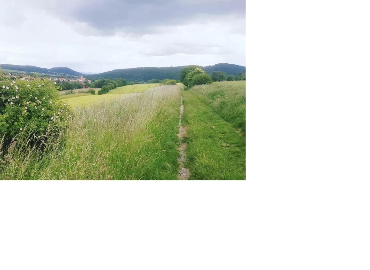 Aussergewoehnliche Auszeit - Metime1 Felsberg Εξωτερικό φωτογραφία